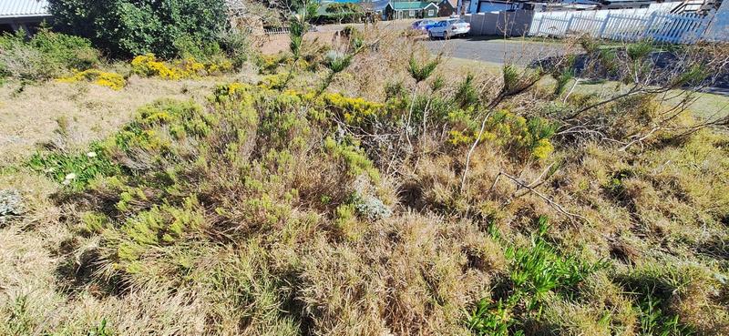 0 Bedroom Property for Sale in Dana Bay Western Cape
